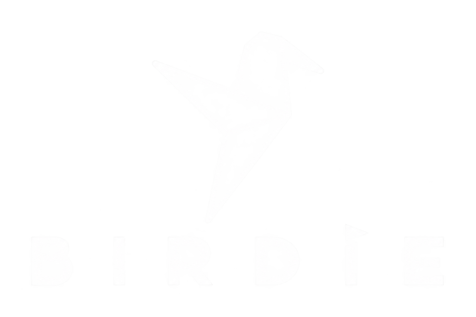 BIG | Birdie Inclusion Golf